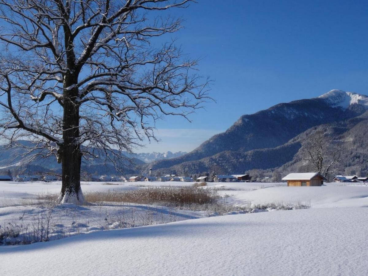 Graublau Lägenhet Grassau  Exteriör bild